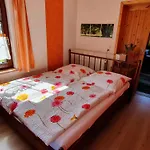 Gruene Haus Am Hexenstieg *