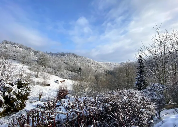 Gruene Haus Am Hexenstieg リューベラント